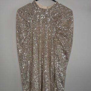 H&M Silver Sequin Dress